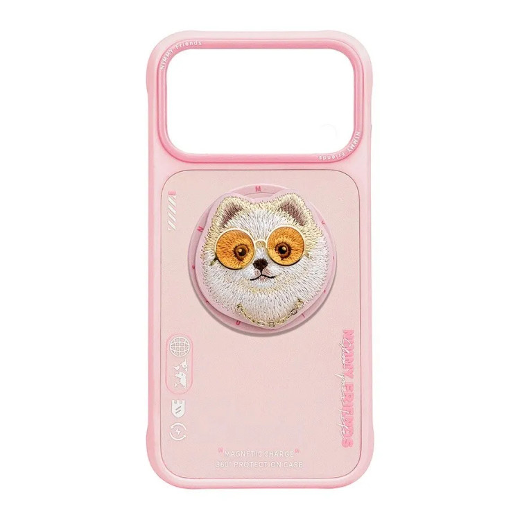 قاب نیمی با پاپ سوکت Nimmy Magnetic Glasses Case Series سری 17 (GN254)
