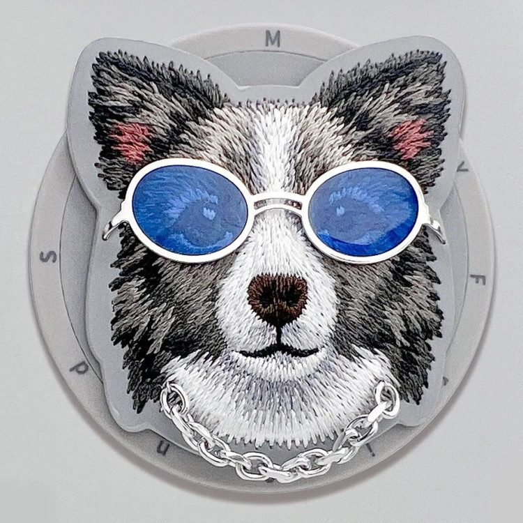 قاب نیمی با پاپ سوکت Nimmy Magnetic Glasses Case Series سری 17 (GN254)