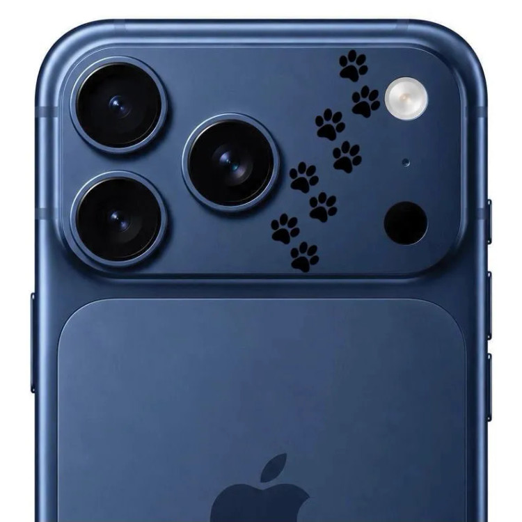 محافظ دور لنز طرح پنجه مشکی بلو Blueo Invisible Shock-Resistant Lens Protection (GN557)